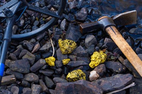 Gold Nugget Mining from the River in Austria, Real Gold. Stock Photo ...