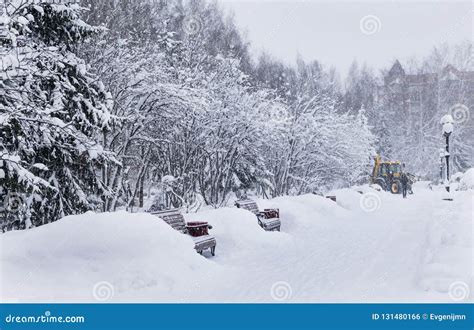 Winter in the city park stock photo. Image of industrial - 131480166