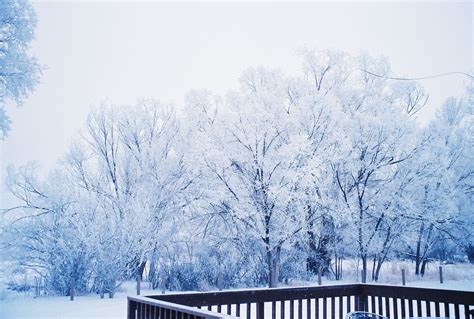 Winter, Alamosa, Colorado, USA | Colorado, Moving to colorado, Alamosa