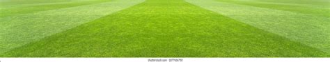 Soccer Grass Texture Stock Photo 1077656750 | Shutterstock