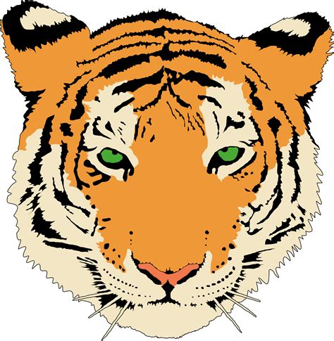 Detailed Tiger Head Clip Art at Clker.com - vector clip art online, royalty free & public domain