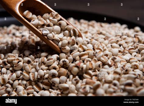 Grain miscellaneous grain barley Stock Photo - Alamy