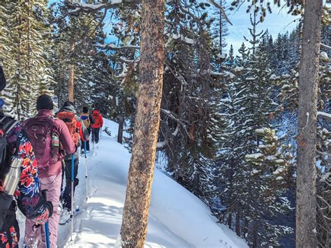 Best Snowshoe Hiking Trails - Wildland Trekking