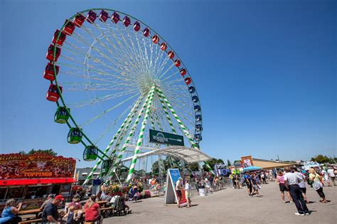 What to do at the Wisconsin State Fair • Choosing Figs