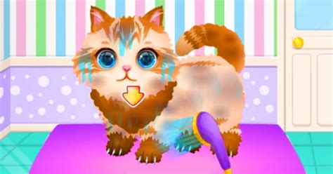 Funny Pet Haircut - Play Online at GoGy Games