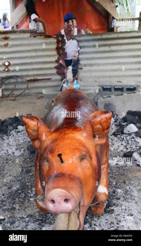 Lechon Baboy Funny Picture - Funny PNG