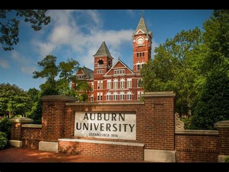 Auburn University College of Veterinary Medicine - YouTube