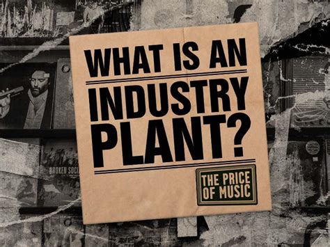 What is an 'industry plant'?