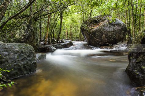 The Best Experience The Conquest Of Phu Quoc National Park | ORIGIN VIETNAM