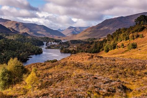 Glen Affric & Loch Ness tour from Inverness | WOW Scotalnd Tours