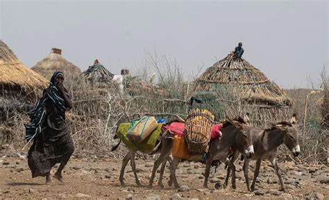 WFP: 13 Juta Orang Terancam Kelaparan di Afrika : Okezone News