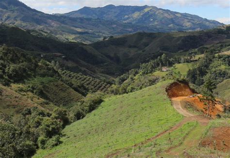 Westfalia Fruit using insect plan to control pests, protect fruits in Chile - Produce Business UK