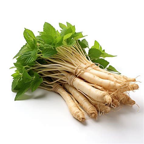 17 Medicinal Health Benefits Of Panax notoginseng (Sanqi) - Agric4Profits