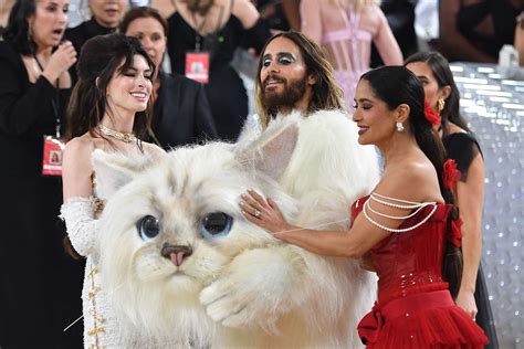 Stars React to Jared Leto's 2023 Met Gala Cat Costume