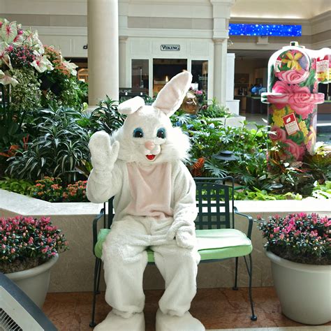 Visit the Easter Bunny This Year at Abt! | The Bolt