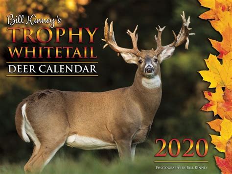 Moon Phase Deer Hunting Chart 2021 | Printable calendar template, Calendar design, Calendar