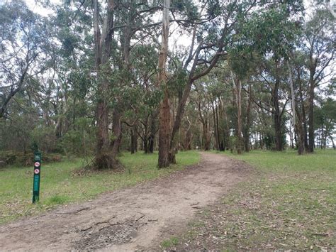 Arthurs Seat State Park - Hike Map, Walks to Lookout, Mornington Victoria