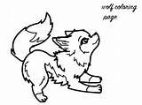 Baby Wolf Coloring Pages At Viikelseyblog Blog sketch template
