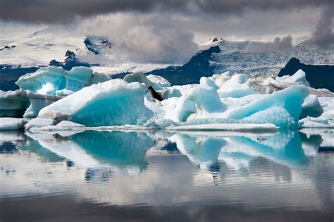 Jökulsárlón icebergs gone! - Iceland Monitor