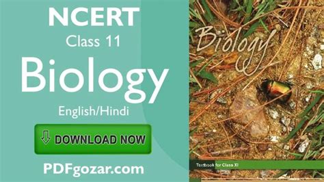 NCERT Books for Class 11 Biology PDF 2021-22: [English/Hindi] Free Download | Biology, Biology ...