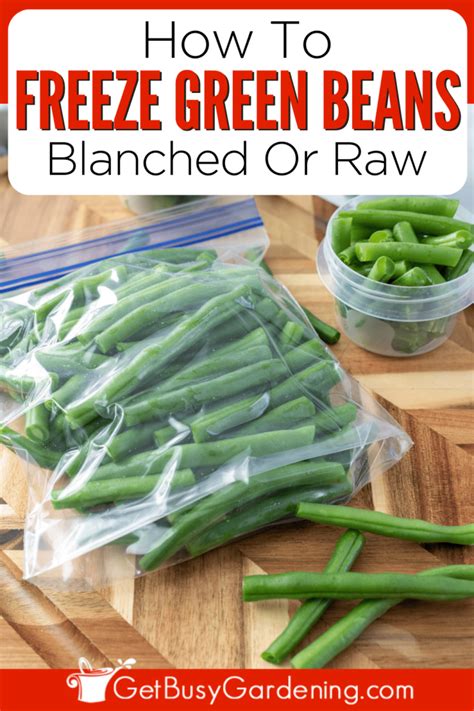 How To Freeze Green Beans (With Or Without Blanching)