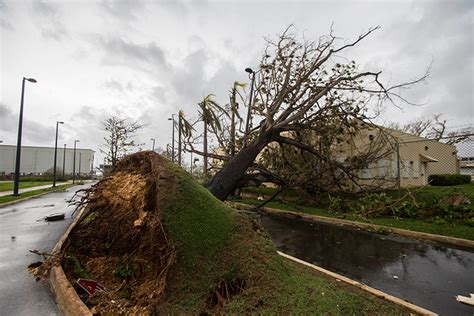 IN PHOTOS: Hurricane Maria leaves Puerto Rico in utter devastation - National | Globalnews.ca