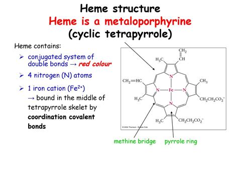 Structure, function and metabolism of hemoglobin - ppt download