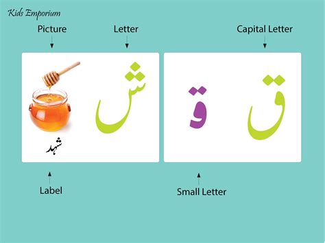 Urdu Alphabet Flashcards & Poster printables - Etsy