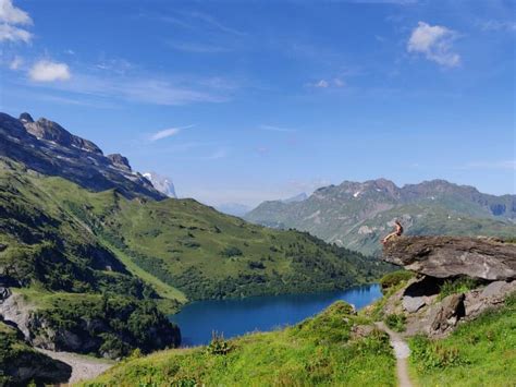 Wandelen in de bergen | 18 Tips voor een bergwandelvakantie