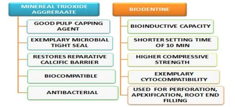 Showing properties of Mineral trioxide aggregate and biodentine. | Download Scientific Diagram