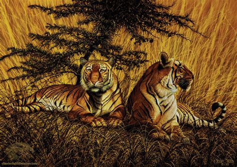 "Tiger Terrain" | Wildlife Art Bengal Tiger Painting