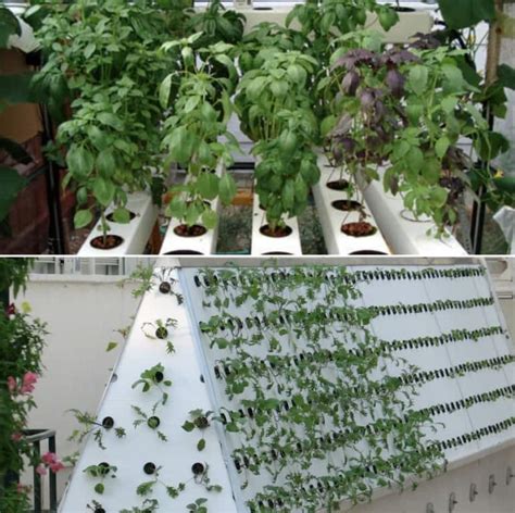 Aeroponic System Benefits, Components - A Full Guide | Gardening Tips