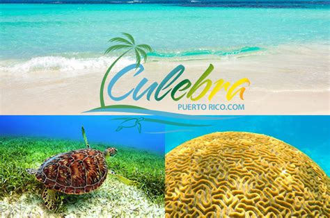 Best Beaches in Culebra Puerto Rico - Visitor's Guide - Culebra Beaches