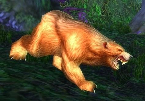 Elder Ashenvale Bear - NPC - Classic World of Warcraft