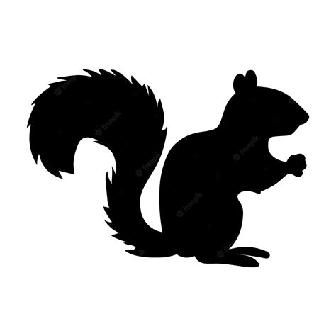 Premium Vector | A squirrel vector illustration