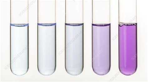 Biuret reagent test for protein. - Stock Image - C033/2886 - Science ...