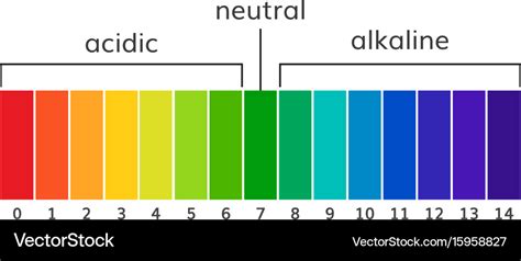 Deciphering The PH Scale: A Guide To Acidity And Alkalinity - Household Essentials on Sale: Shop ...