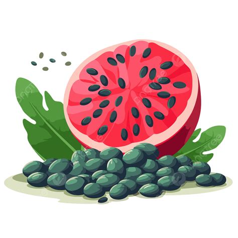 Watermelon Seeds Vector, Sticker Clipart Flat Illustration Of Watermelon With Seeds Cartoon ...
