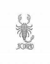 Scorpio Coloring Page / Digital Download Printable Astrological Sign  sketch template