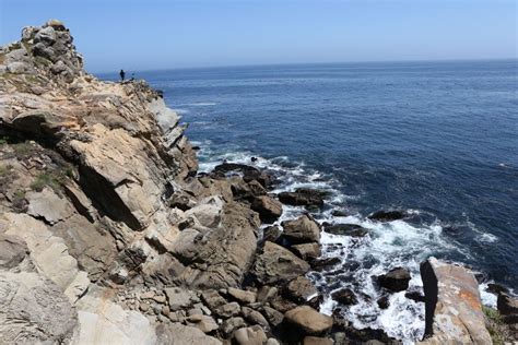 Shorediving for Treasure at California’s Jade Cove | California Diver ...