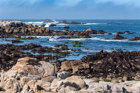 Rocky shore | Wallpapers | Monterey Bay Aquarium