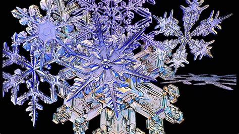 Футаж Снежинки под микроскопом Footage Snowflakes under a microscope 000791 - YouTube