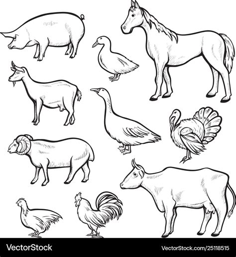 Farm animal drawing set domestic and agriculture Vector Image