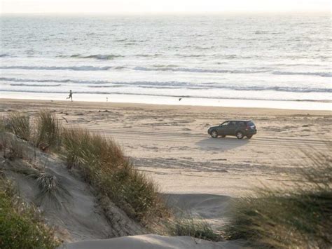 Pismo State Beach: Complete Camping & Activity Guide