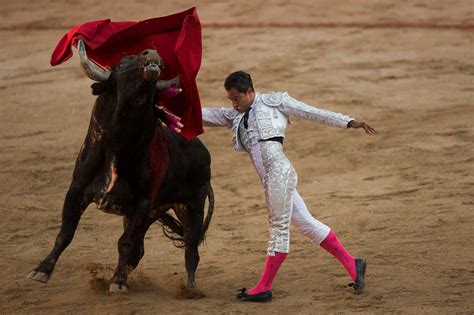 Bull wins at bullfighting - Houston Chronicle