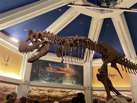 Carnotaurus skeleton at Disney’s DINOSAUR attraction : r/Naturewasmetal