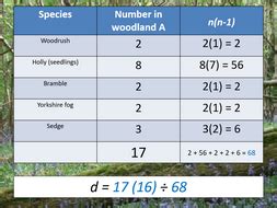 Biodiversity and calculating an index of diversity (AQA A-level Biology) | Teaching Resources