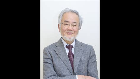 Yoshinori Ohsumi wins Nobel Prize for medical research on cells | CNN