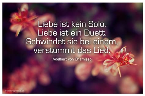 Liebe Ist Zitate | sprüche zitate leben