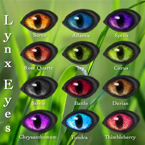 Lynx Eyes – WK – Wild Kajaera